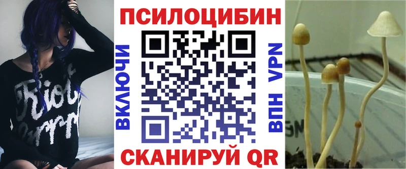 Псилоцибиновые грибы Psilocybe  Купить где  Клин 