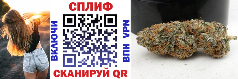 Купить где  Клин  Бошки Шишки семена 